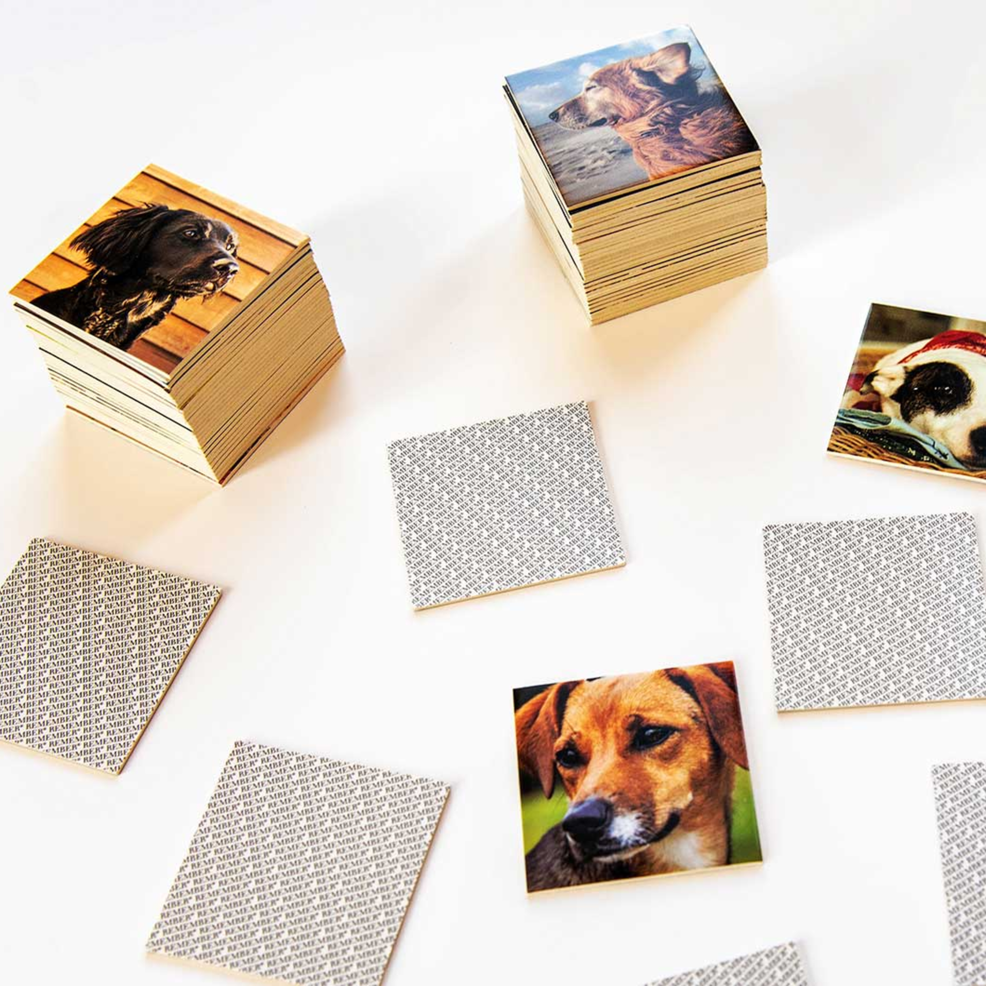 Rechteckige Box des Memory Spiels "Remember Dogs", das mit Hundeabbildungen und dem Schriftzug des Spiels bedruckt ist.