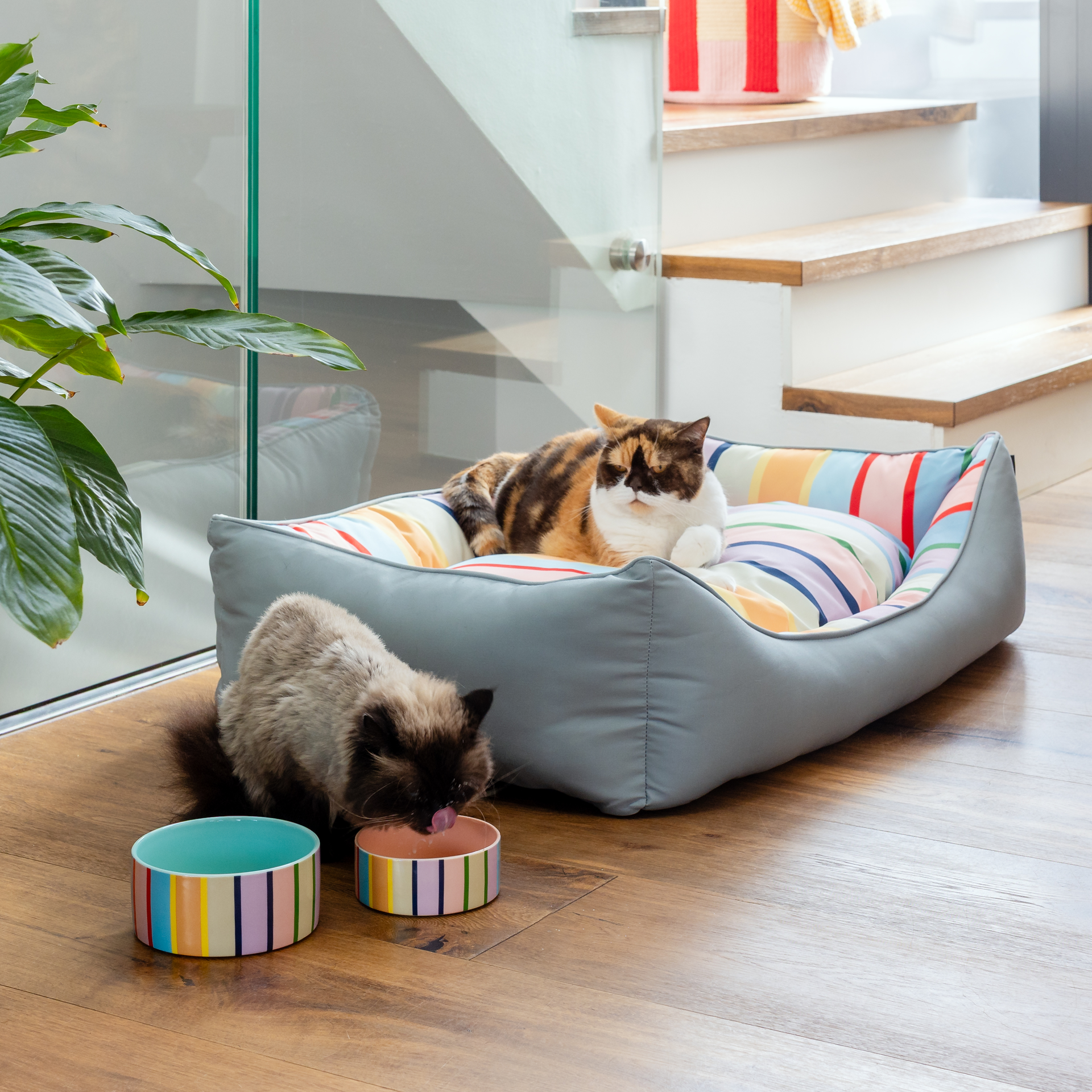 Grand panier pour chien « Lotta L » avec un revêtement extérieur robuste gris clair et vert et un coussin amovible. Le coussin est rayé de couleurs vives avec des rayures verticales rouges, bleues, jaunes, orange, vertes, roses et violettes.