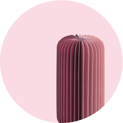 Ein zylindrischer Gegenstand mit vertikalen, wellenförmigen, akkordeonartigen Falten steht auf hellrosa Hintergrund. Die Farbe wechselt von dunklem Rosenrot oben zu hellem Rosa. Oben ist ein spiralförmiges Muster.
