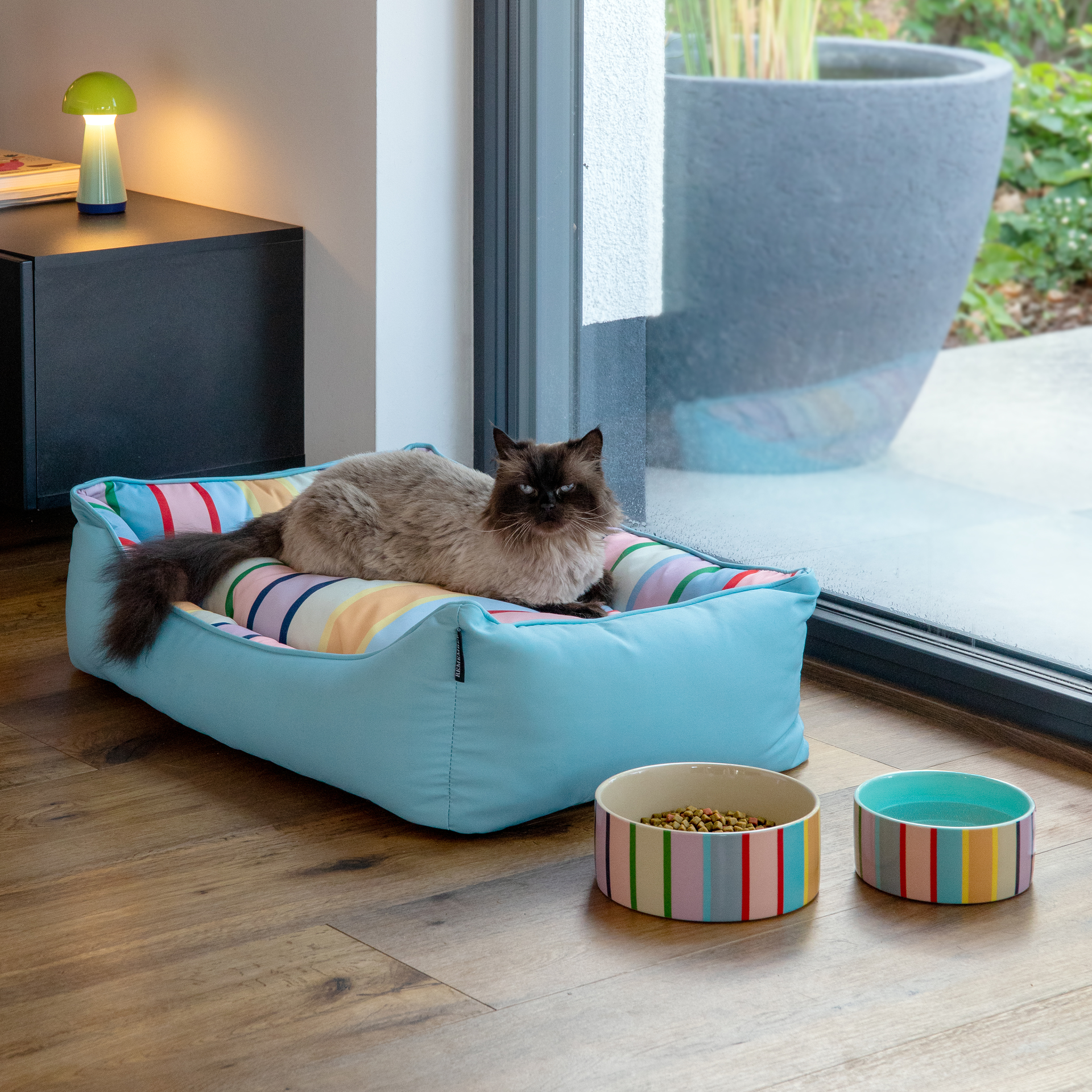 Un chat à poils longs au museau foncé se repose dans un panier bleu clair avec coussin rayé coloré. Devant lui, sur le parquet, deux gamelles Titus assorties : l'une avec croquettes, l'autre avec eau.
