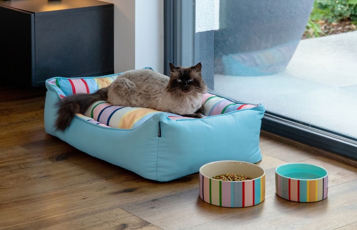 Eine flauschige Katze mit dunklen Abzeichen ruht in einem hellblauen Haustierbett mit farbenfrohem Streifenmuster. Zwei passende Keramiknäpfe, einer mit Trockenfutter, stehen davor auf dem Holzboden. Im Hintergrund ist eine große Fensterfront zu sehen.