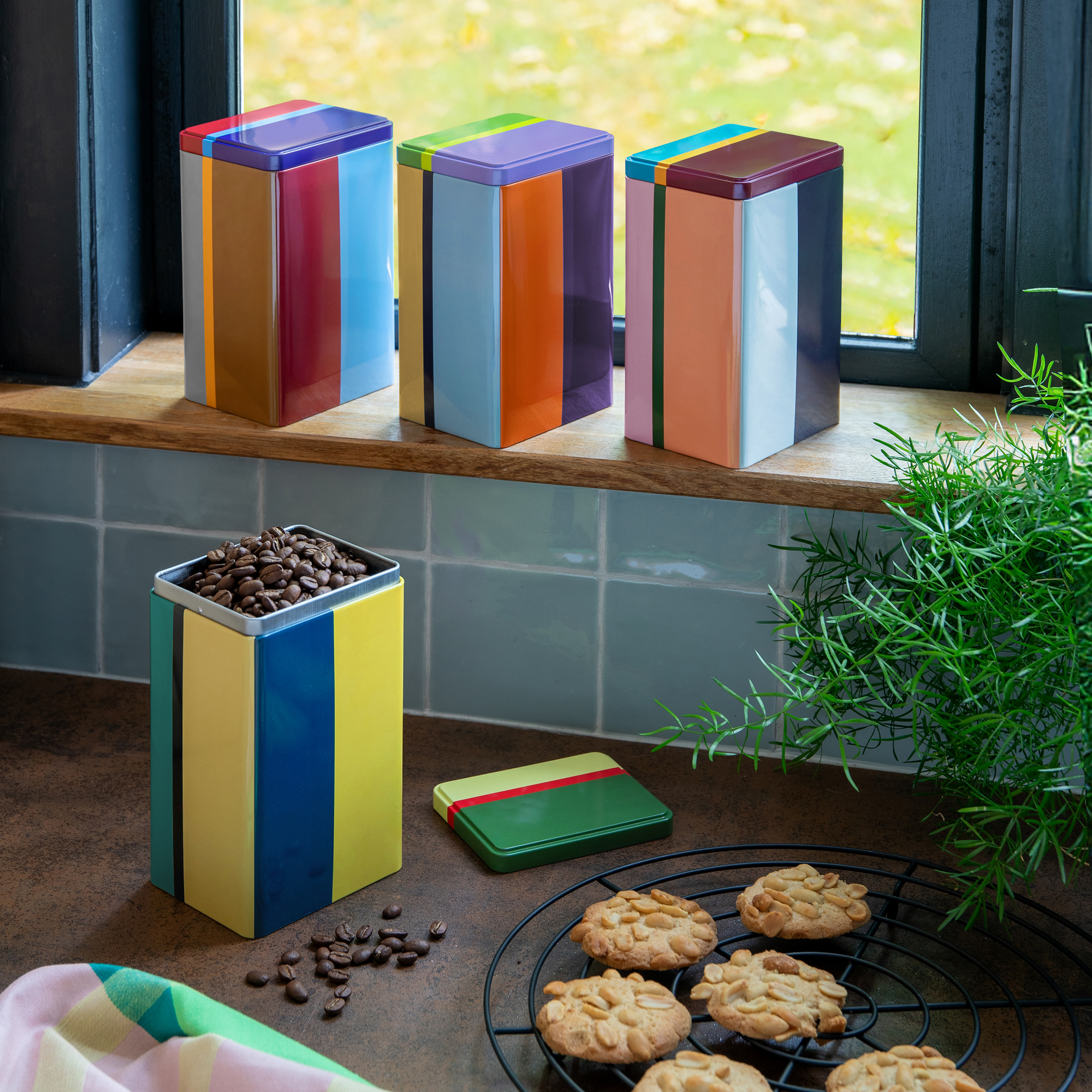 Sul bancone della cucina si trovano barattoli colorati a righe, uno pieno di chicchi di caffè, accanto ai quali si trovano biscotti alle arachidi su una griglia, un telo da cucina e una pianta verde.