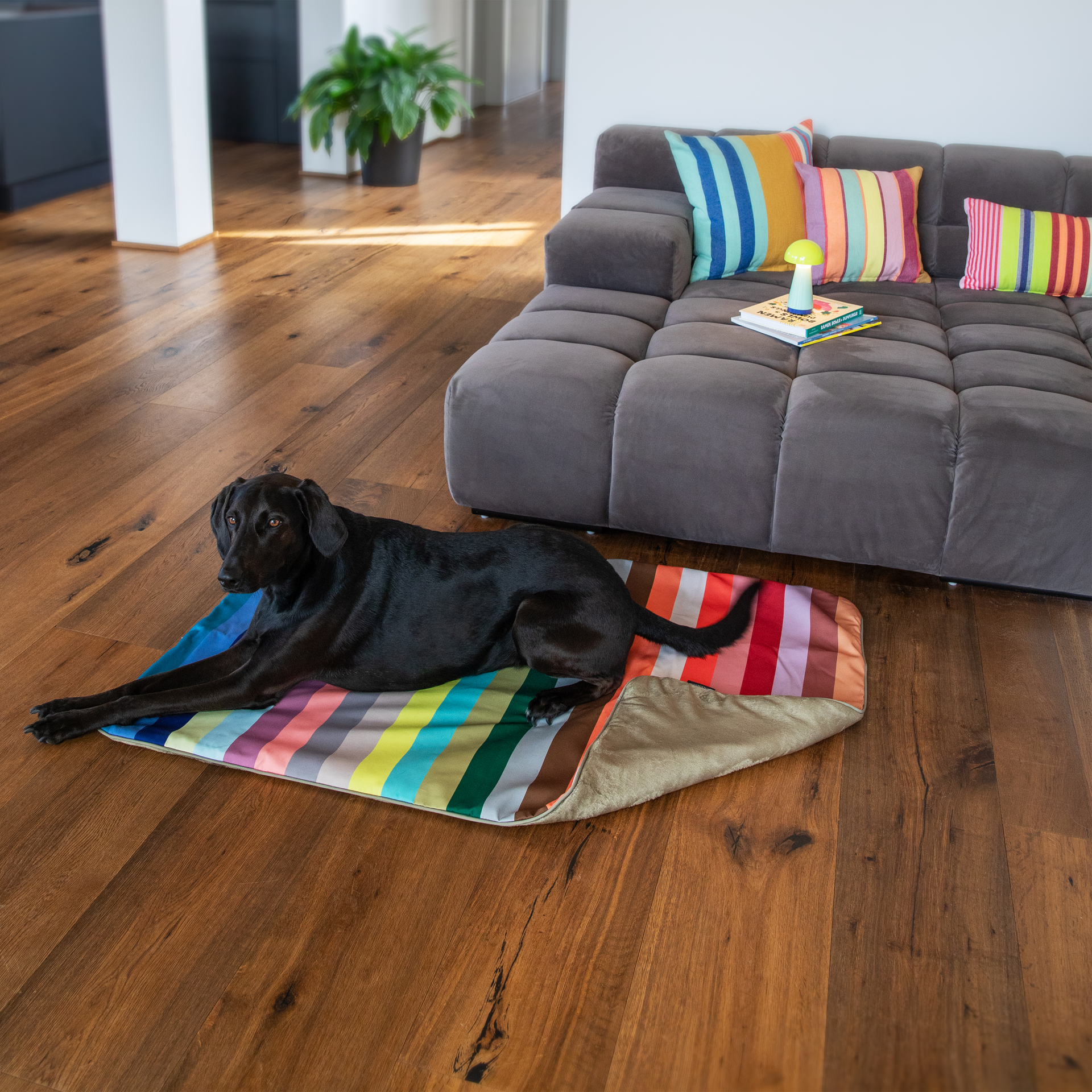Coperta per cani colorata con strisce verticali nei toni del rosso, arancione, verde, blu e pastello. Rettangolare, morbida e imbottita, con superficie liscia bianca. Piccola etichetta sul bordo. Per poltrone, letti o divani.