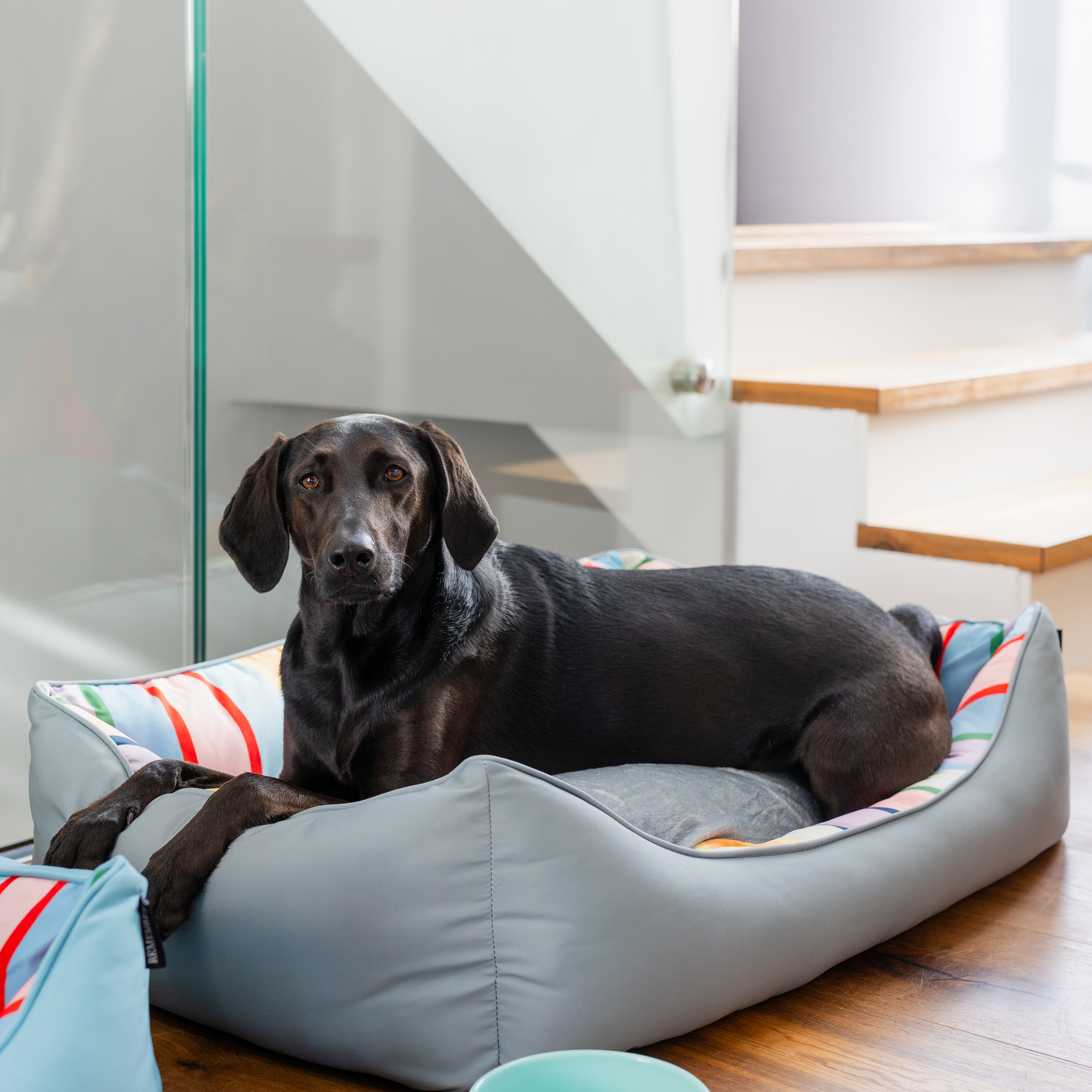 Ampia cuccia per cani «Lotta L» con robusto rivestimento esterno grigio chiaro e verde e cuscino rimovibile. Il cuscino presenta strisce colorate verticali nei toni del rosso, blu, giallo, arancione, verde, rosa e viola.