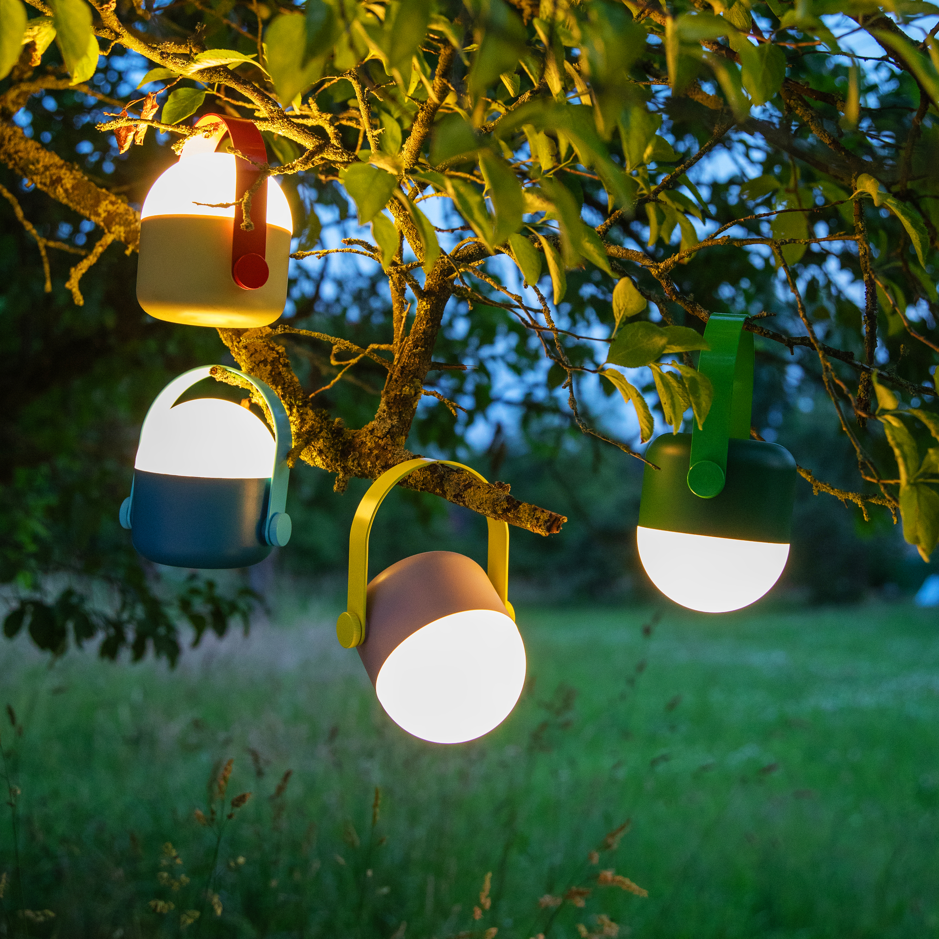 Vier farbige LED-Leuchten "Ole" hängen an einem Baum, der im Hintergrund verschwommenes Grün zeigt. Die Leuchten strahlen warmes, weiches Licht aus.